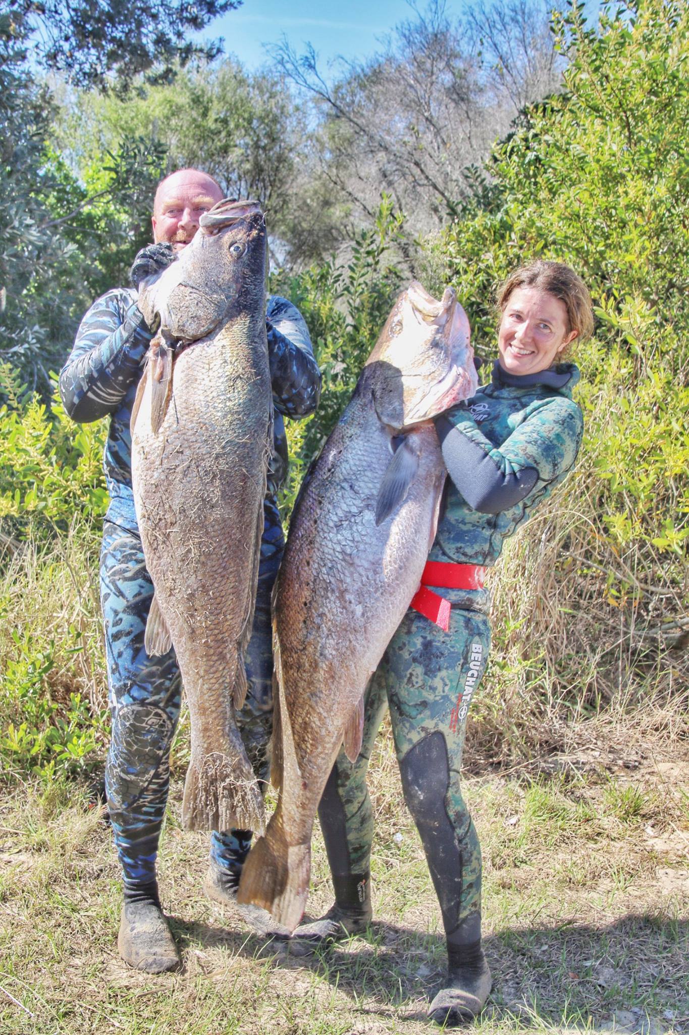 Big 5 Spearfishing Competition Update