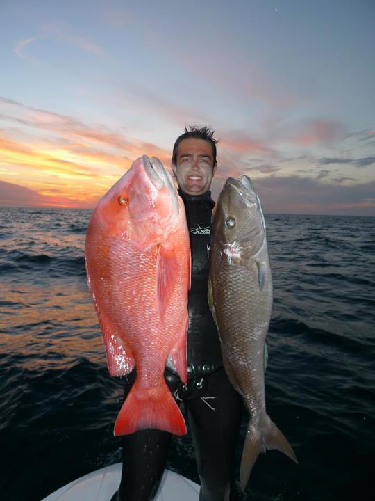 BIG 5 Competition Update