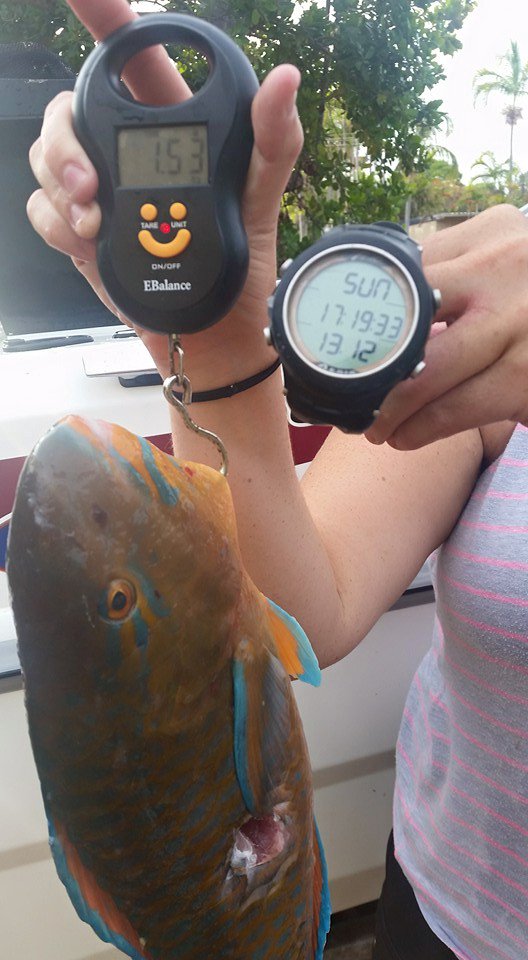 BIG 5: Online Spearfishing Competition Update