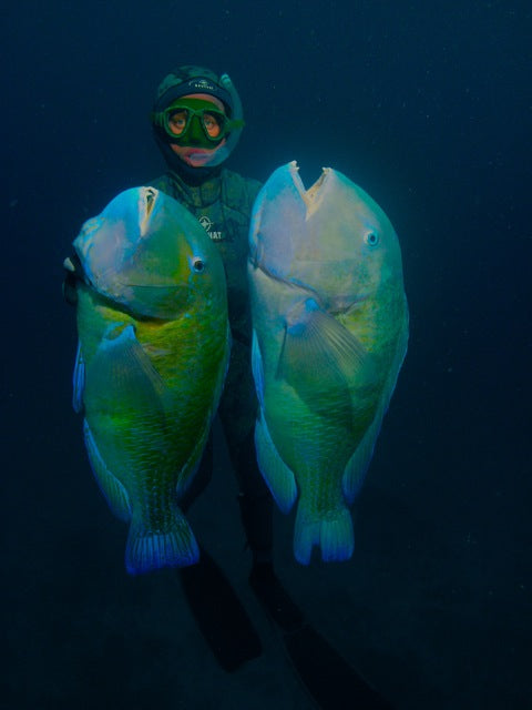 Bunker Trip Photos 1