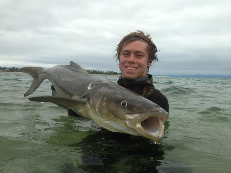 BIG 5: Online spearfishing competition update