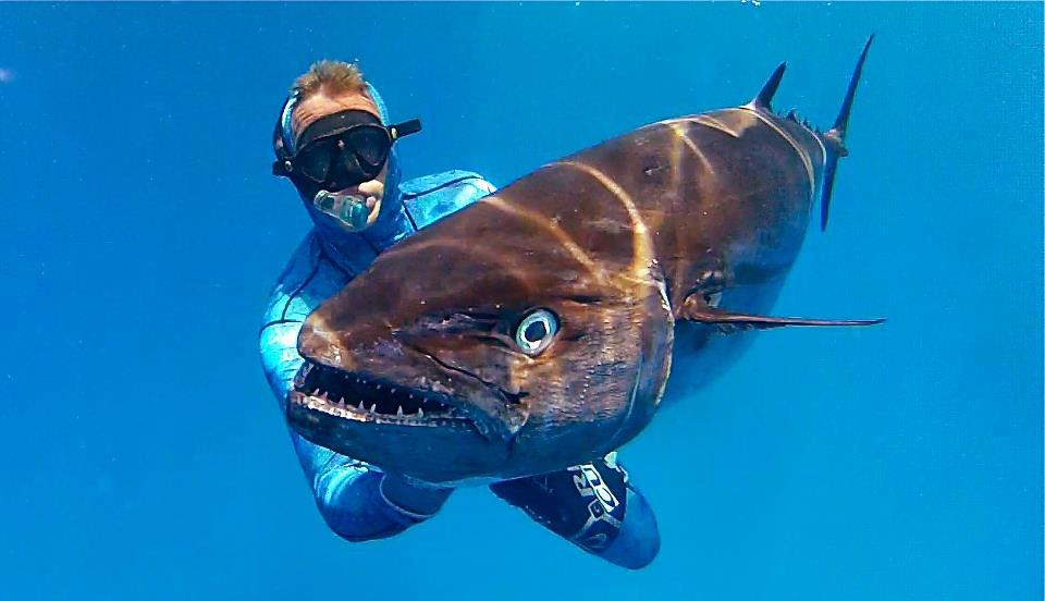 Big 5 Competition Winners - Most Meritorious Senior Fish as Voted by Cameron Kirkconnel