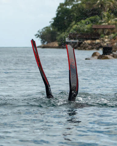 Should Spearfishers Take Freediving Courses?