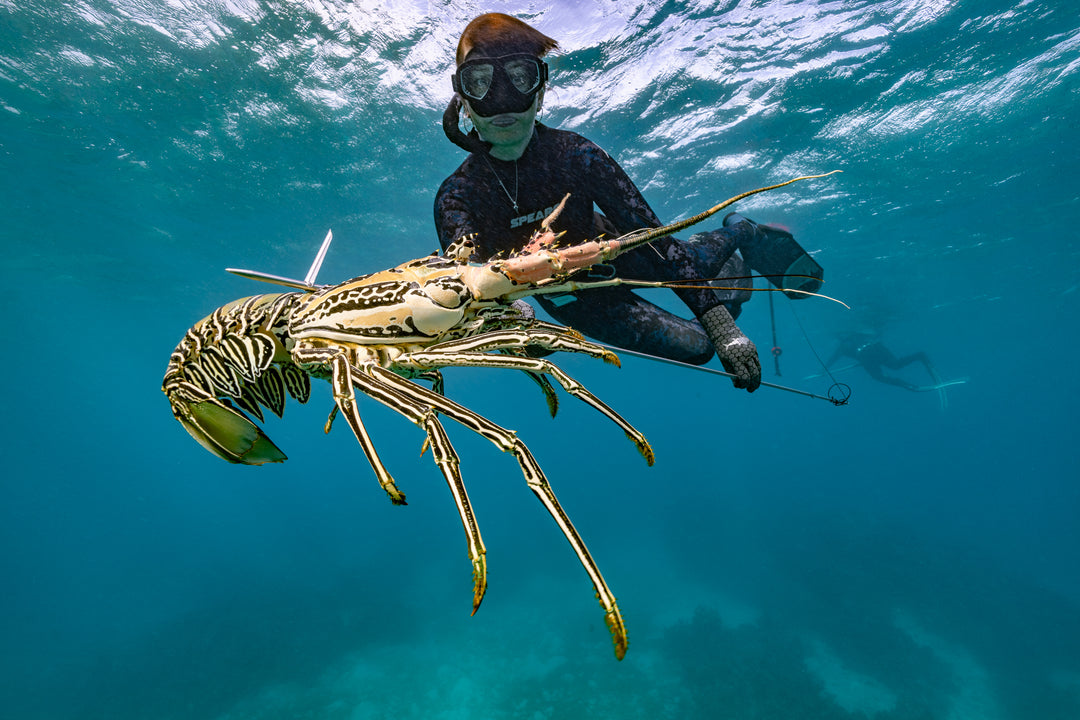 How to Make Spearfishing Videos for Free
