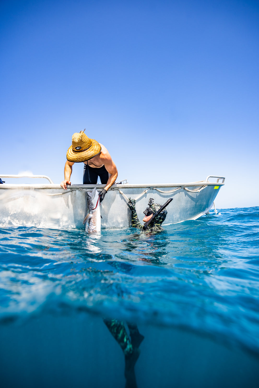 The Effects of Dehydration for Spearfishing | Cramp, Poor EQ and Bad Decision Making