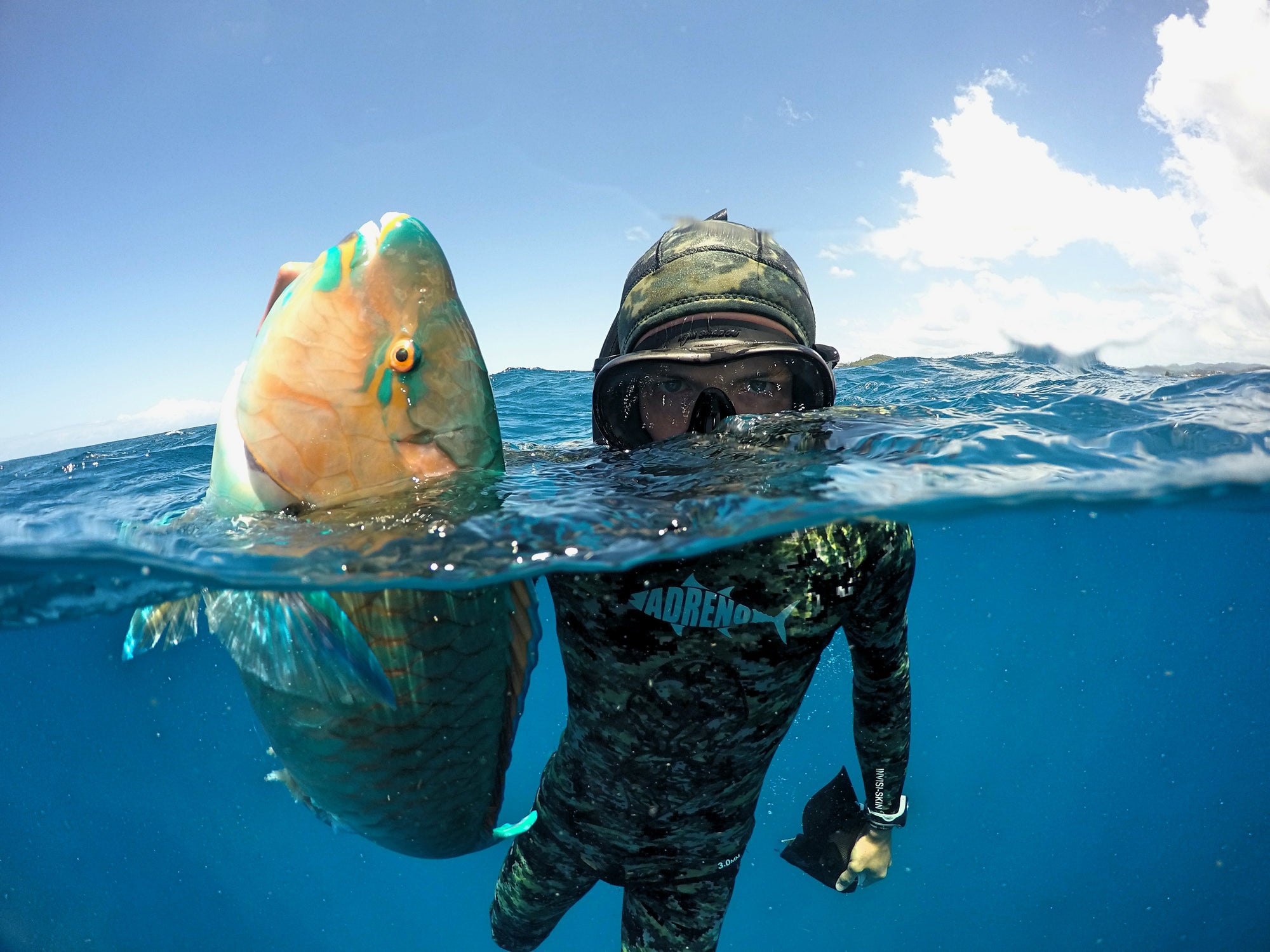 Technology in Spearfishing