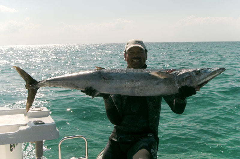 How to catch Wahoo