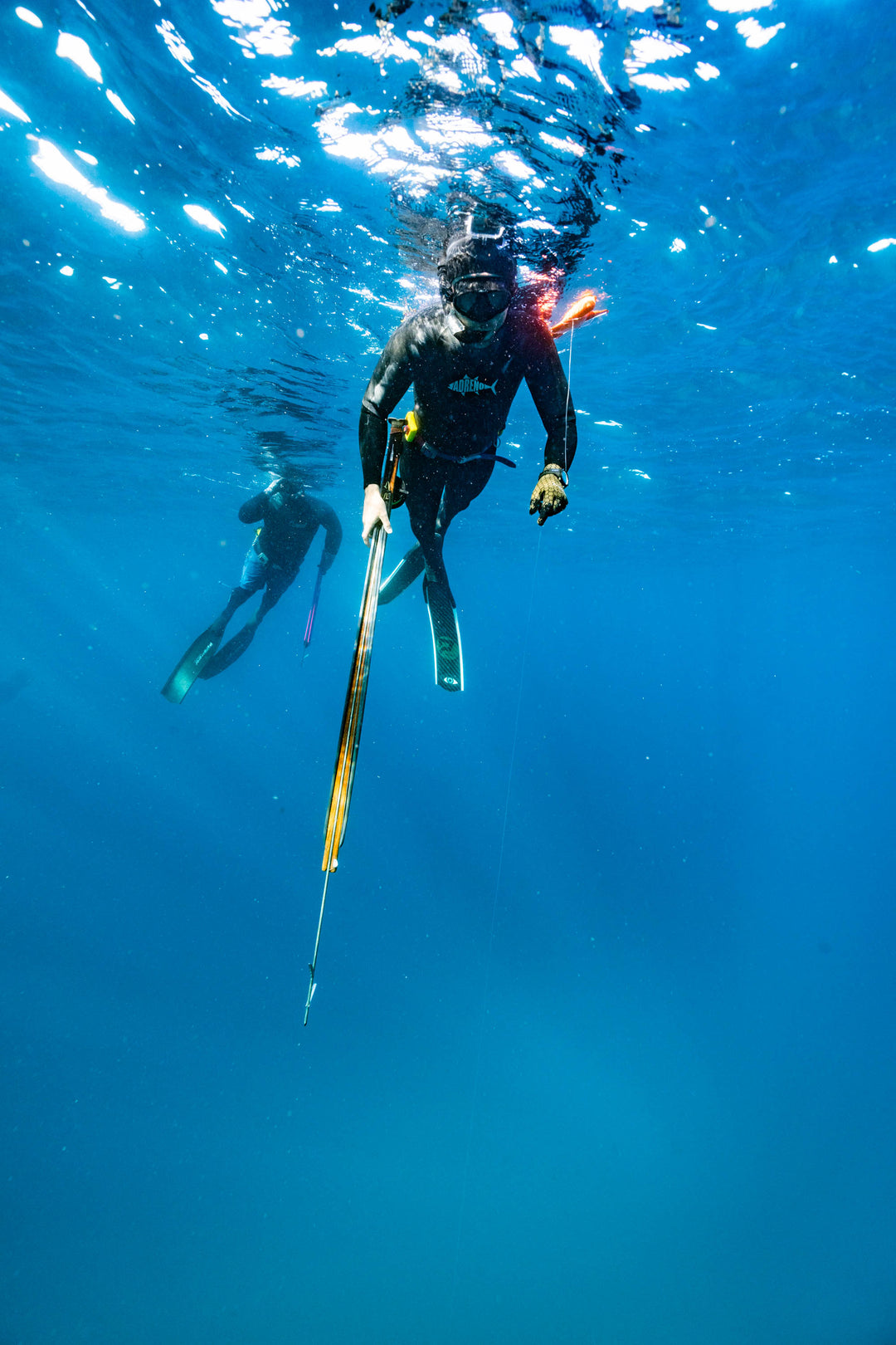 The Importance of Dive Safety: Never Dive Alone