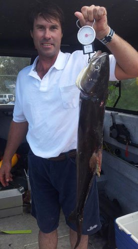 Adreno BIG 5 Progressing Scoresheet - No. 1