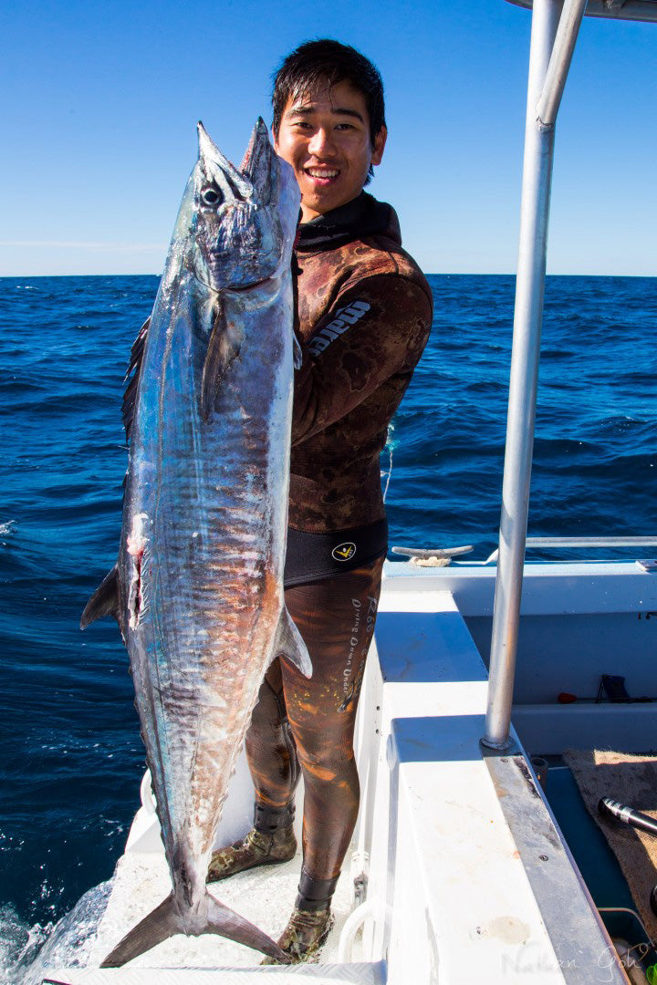 Bluewater Freedivers WA Annual Pelagic Pairs Comp.
