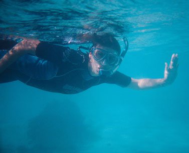 Diving the Seaway