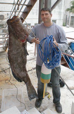 Fifty foot plunge led to record grouper catch