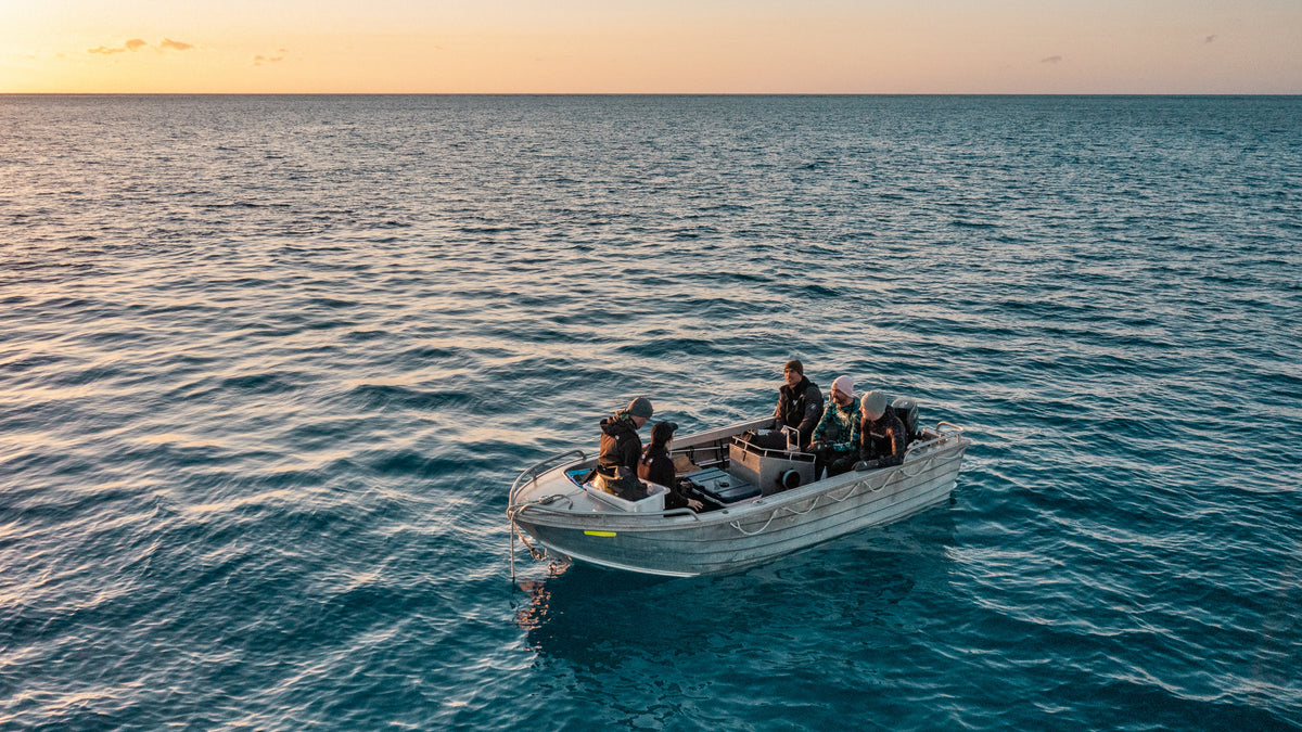 YouTube's Best Spearfishing Channels in 2022 