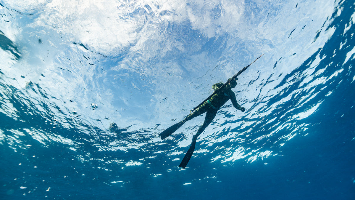 Sustainable Spearfishing