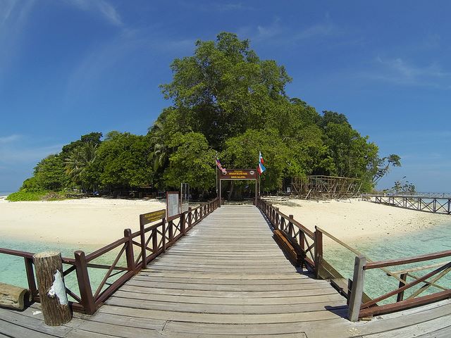 Diving in Sipadan – One of the World's BEST Diving Locations!