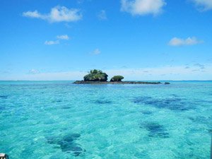 Diving the Astrolabe Reef