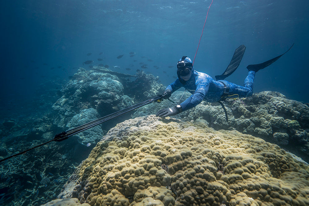 Three Methods To Improve Your Hunting And Get Closer To Fish