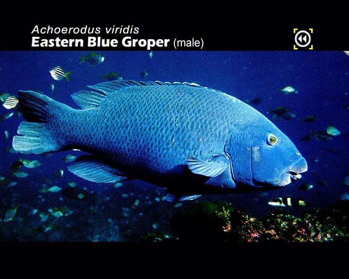 Fisheries plan to act without scientific basis...AGAIN!