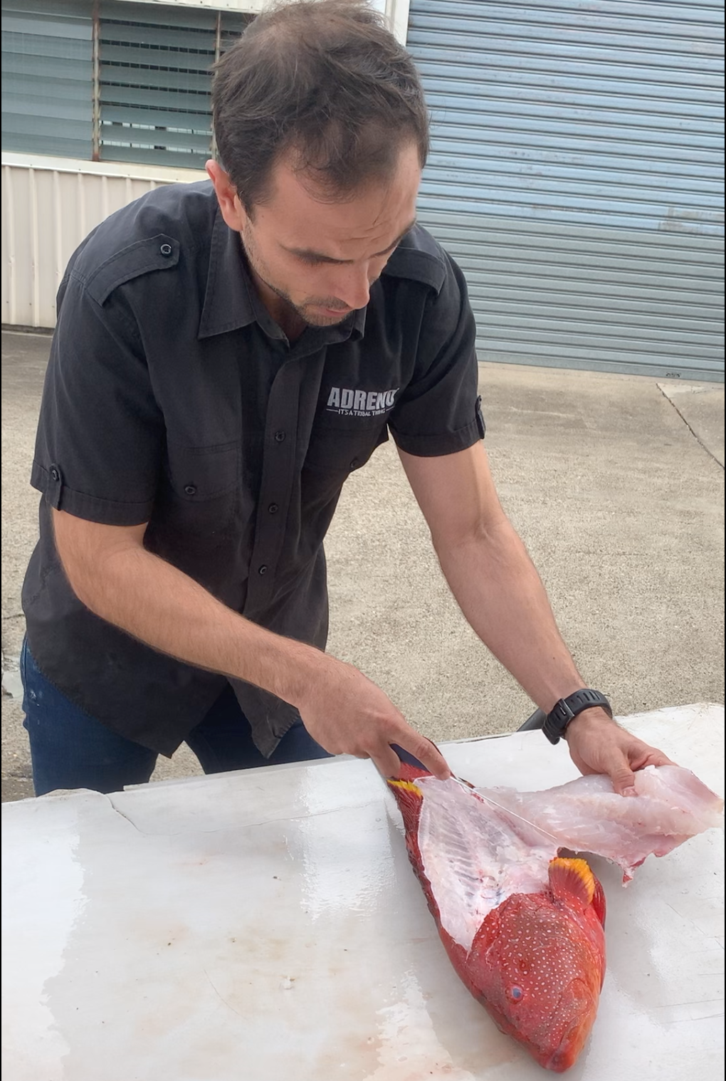 How To Fillet A Fish