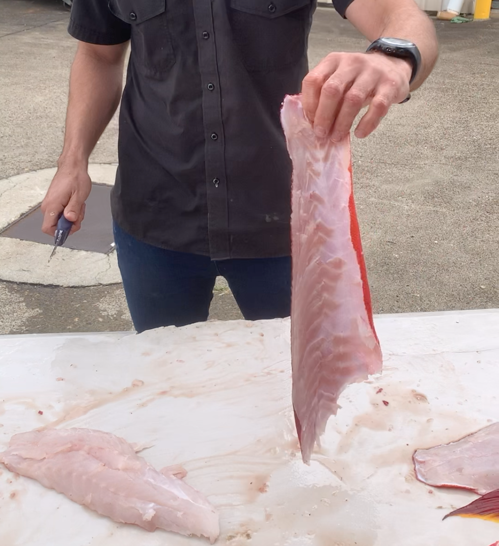 How To Skin A Fish Fillet