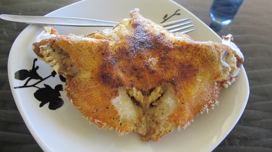 Salt and Pepper Coral Trout Wings