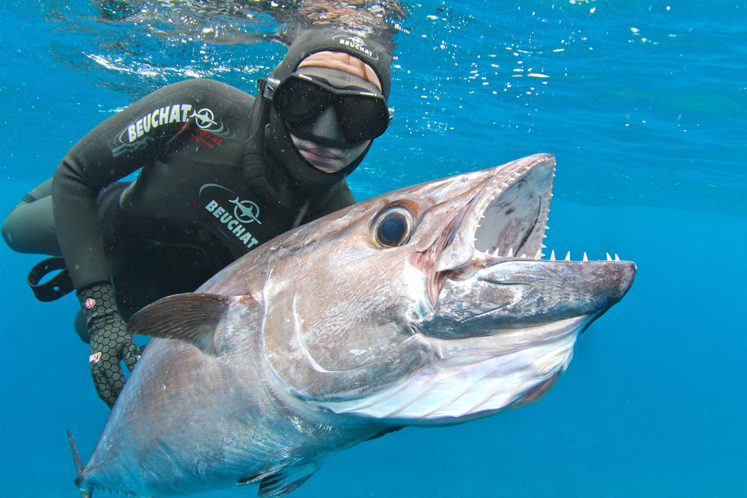 WIN a Cairns GBR Bluewater Charter
