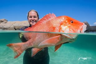 WINNERS:  Big 5 Online Spearfishing Competition