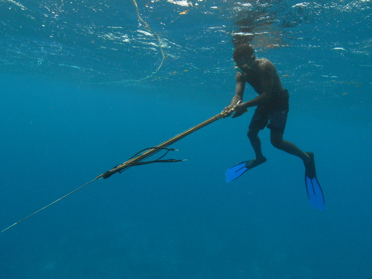 Barracuda Attack 2
