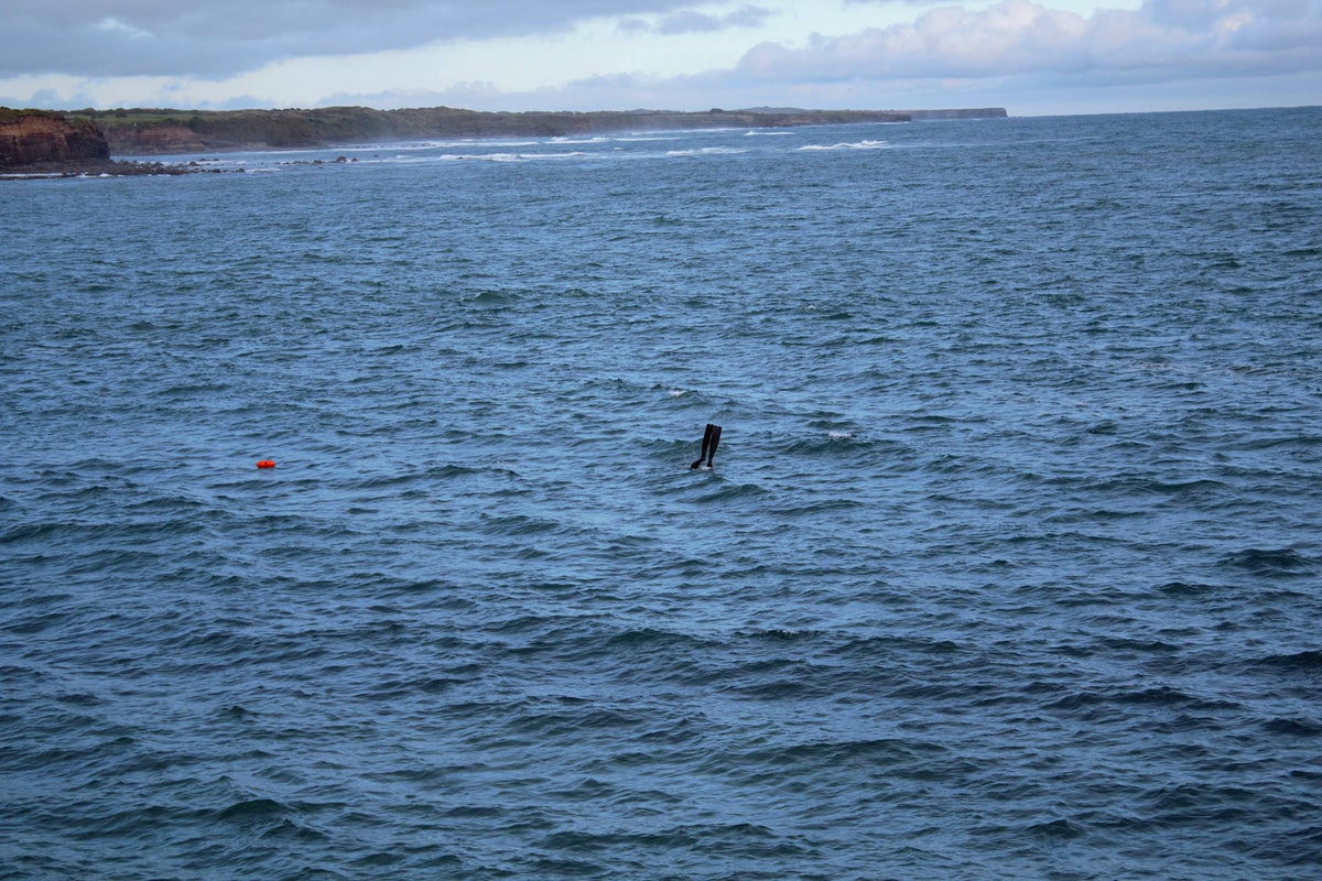 Spearfishing Alone