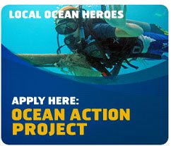 Looking for new Ocean Action Projects - by PADI Project AWARE