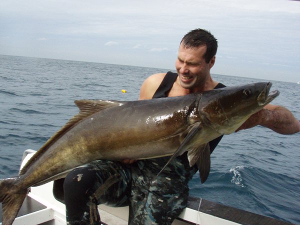 PENDING AUSTRALIAN RECORD COBIA – by Andrew Sprenger