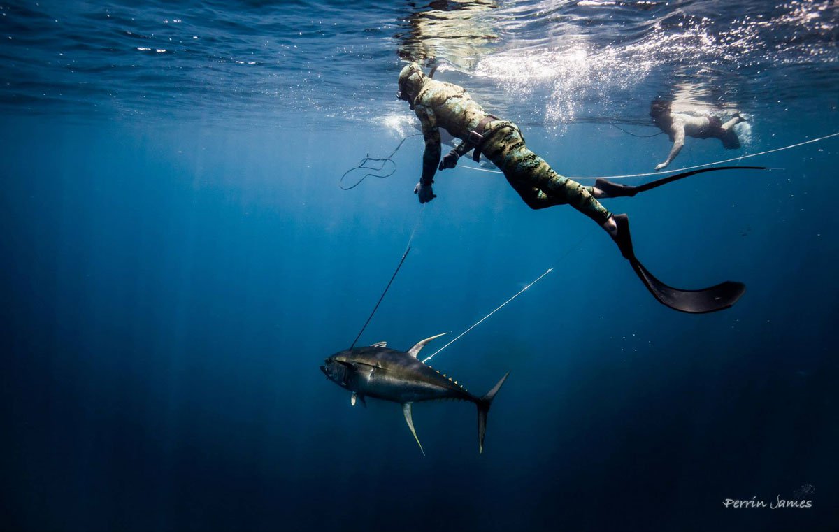 Spearfishing Advice Part 3: Hunting - 3 Pieces of Wisdom