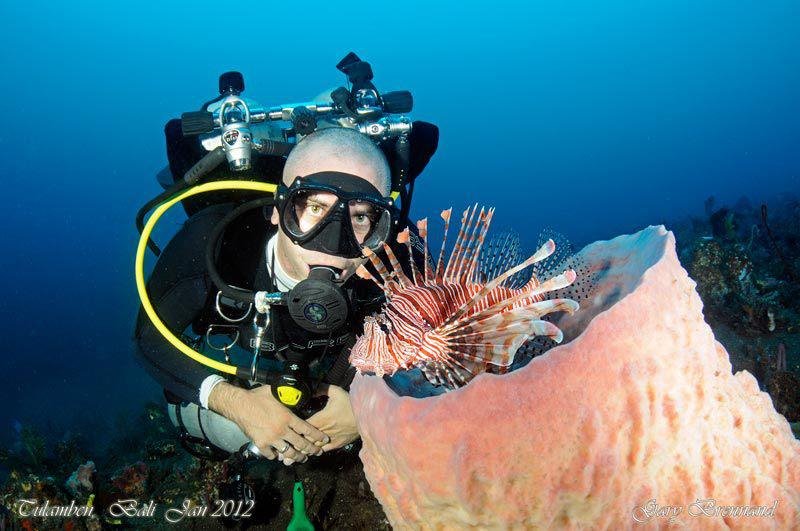 Happy New Year from Bali!