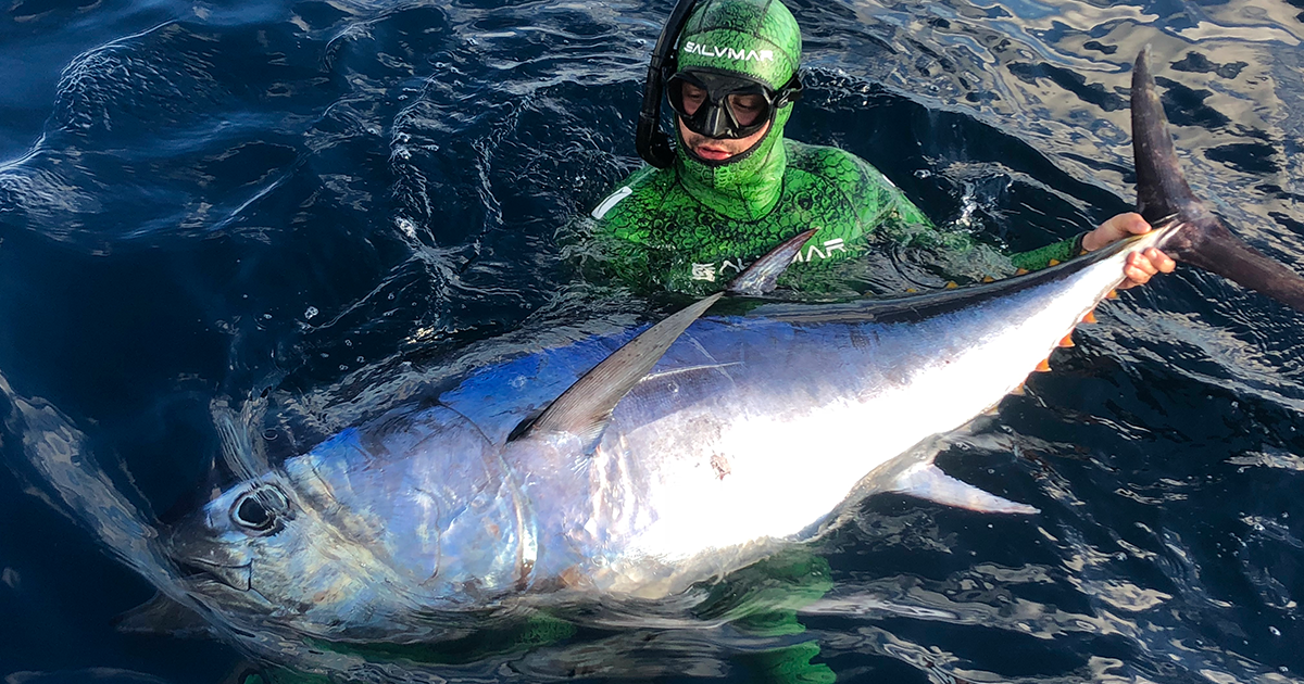 How to Hunt Bluefin Tuna - Adreno - Ocean Outfitters