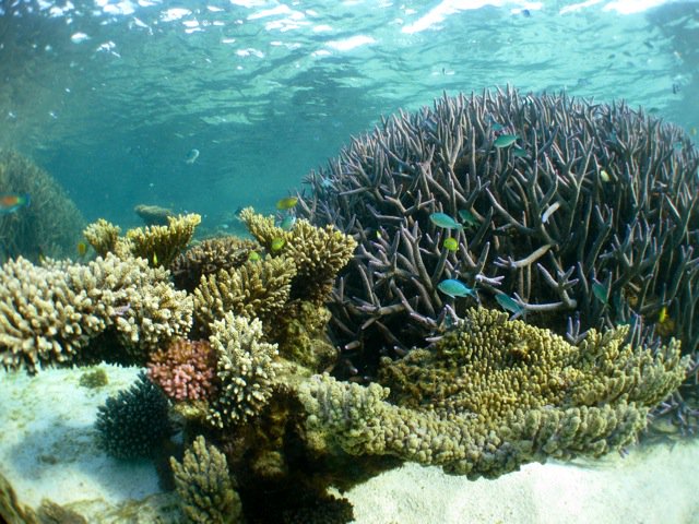 Sail Ningaloo