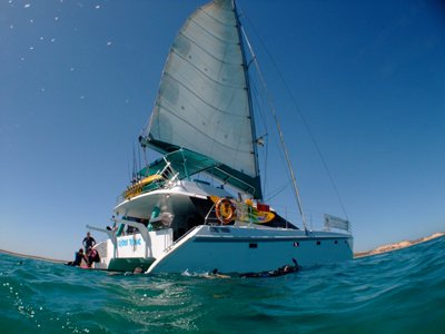 Check out the stunning Ningaloo reef!
