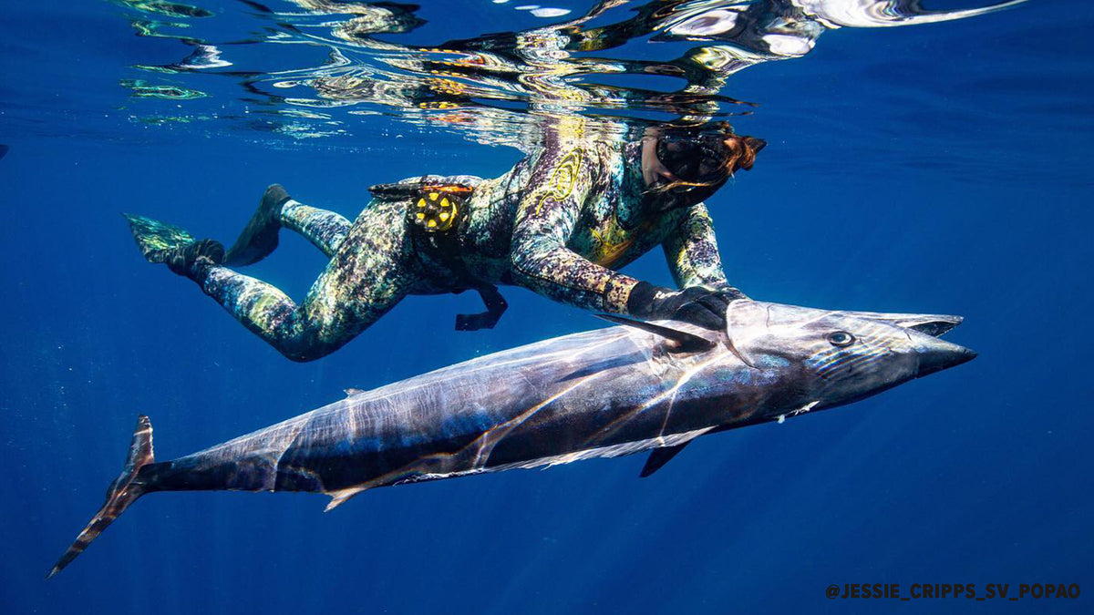 Spearfishing Wahoo
