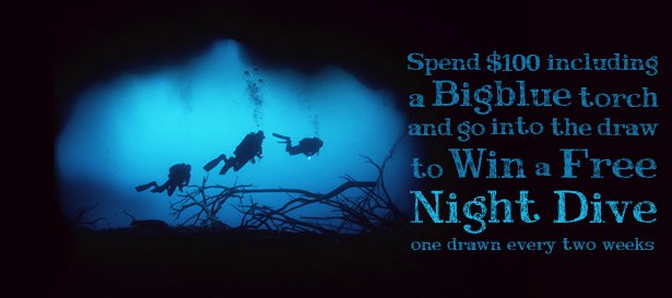 Win a Free Night Dive