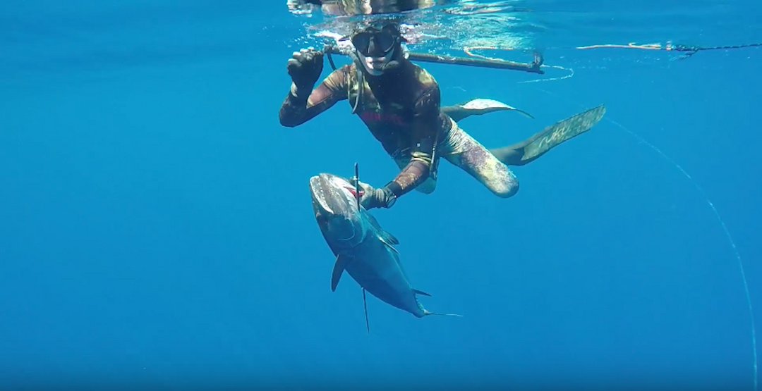 Hunting Dogtooth Tuna with Taylor Slattery