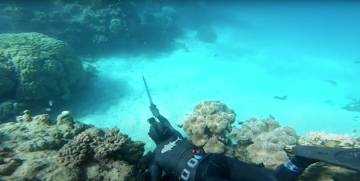 Spearfishing Aiming