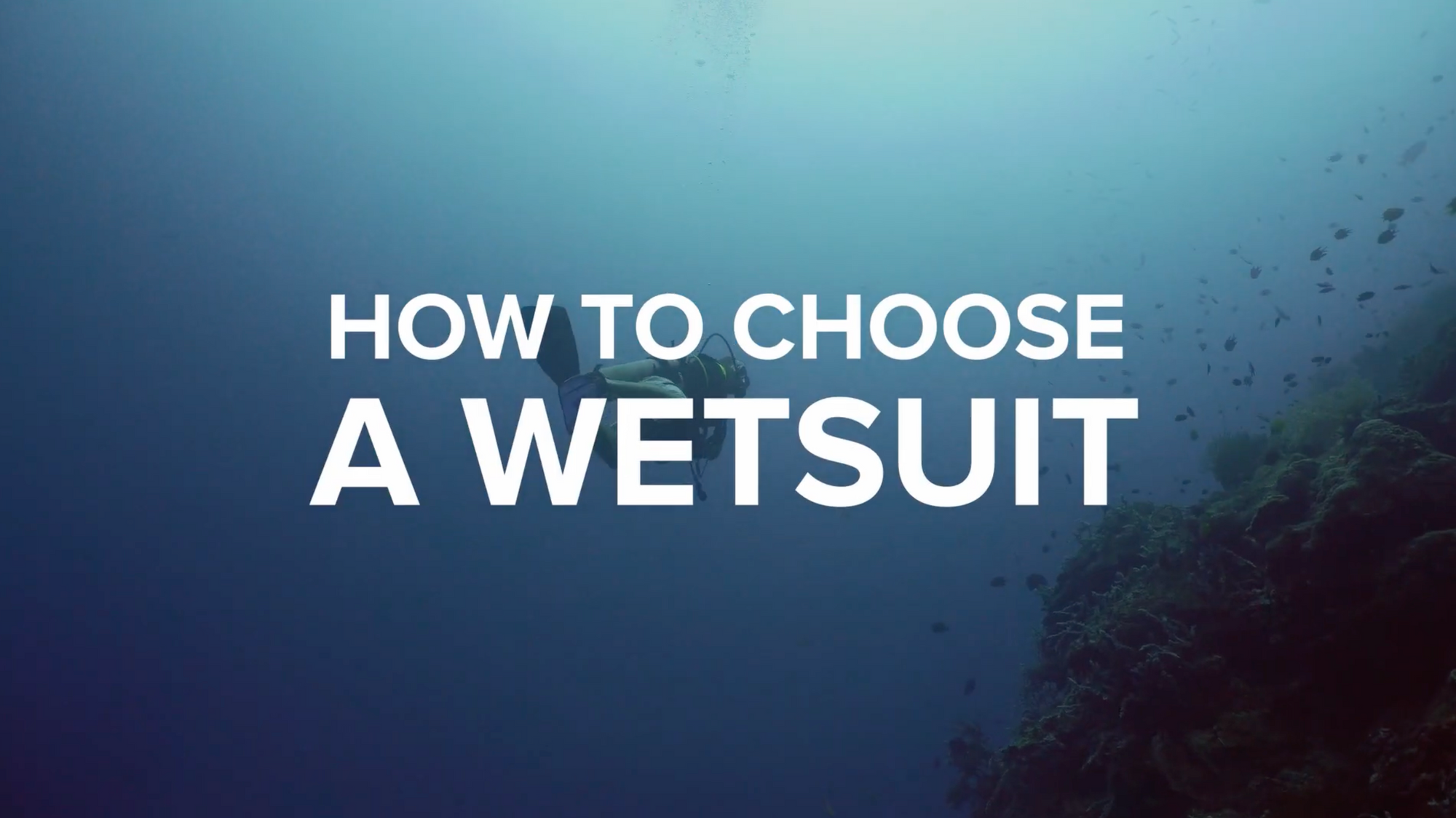 How To Choose A Scuba Diving Wetsuit 🐟