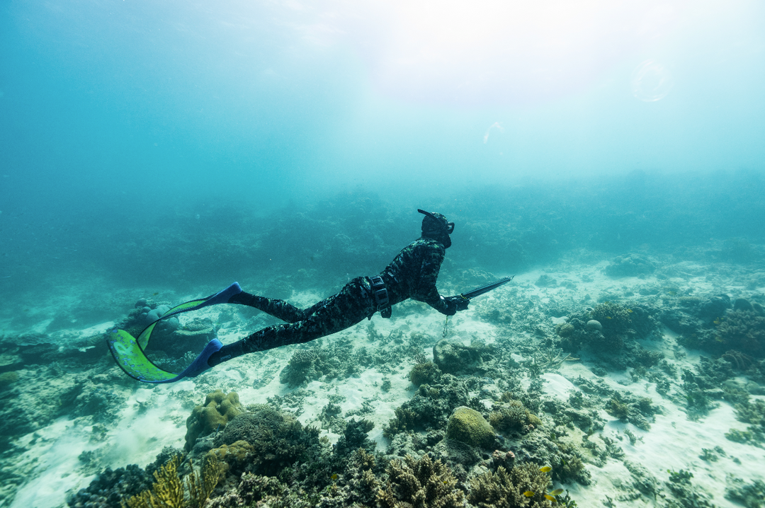 6 Bits of Spearfishing Gear You Don’t Have (but should)