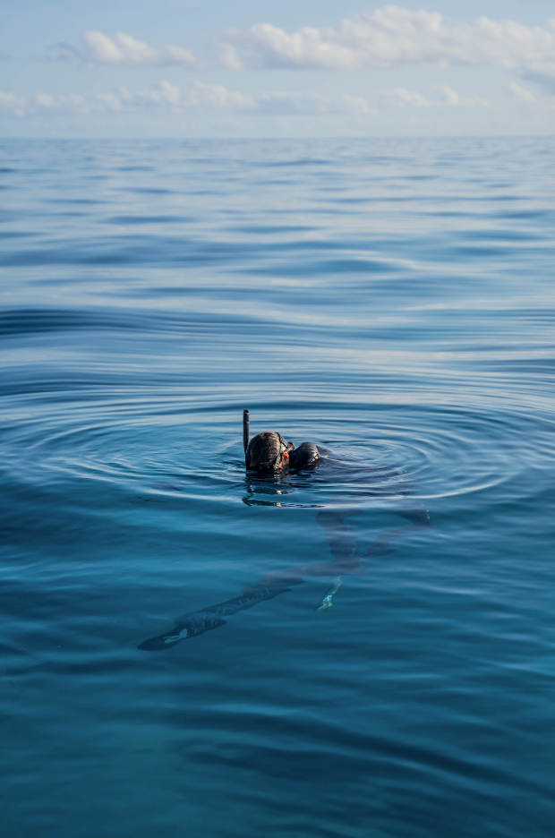Lost at Sea Spearfishing | A Risk Worth Talking About