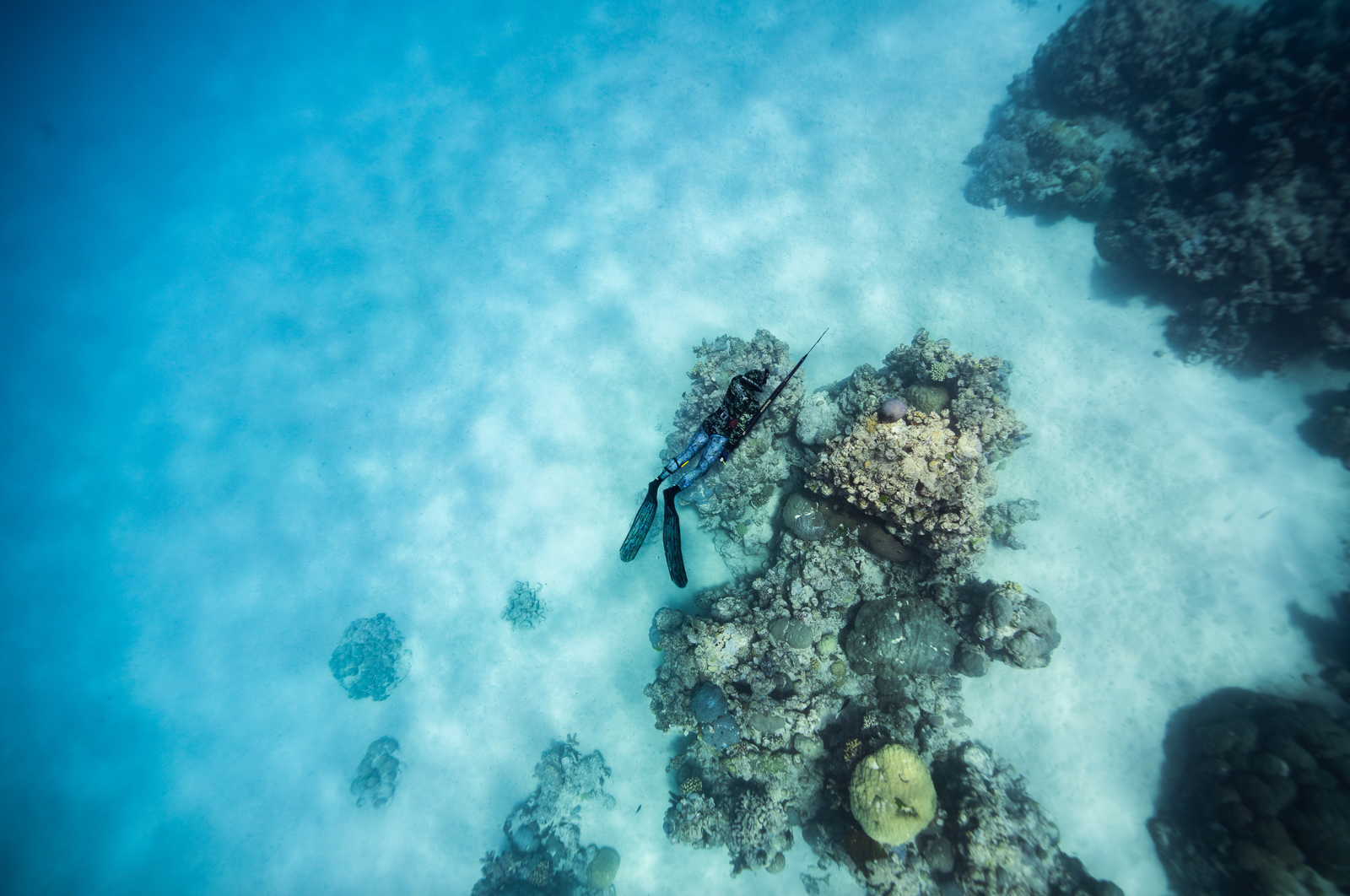 How To Choose A Flasher