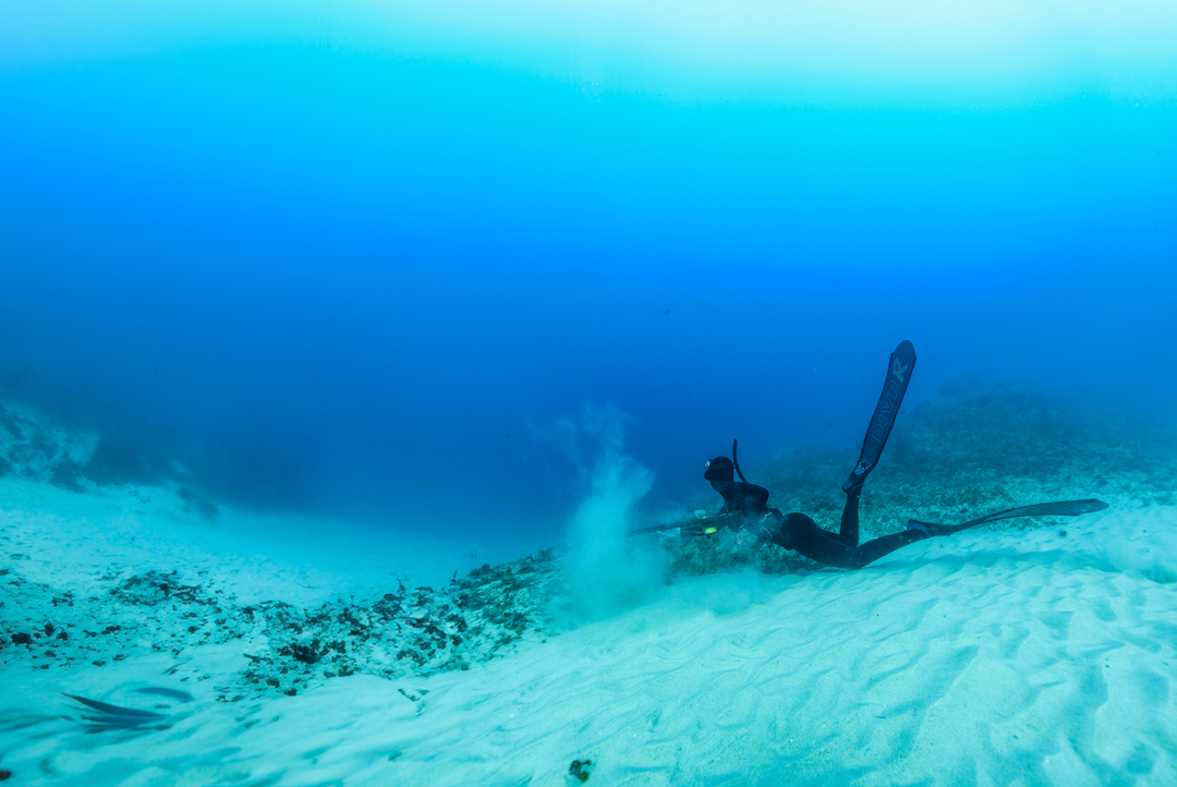 The Correct Spearfishing Aiming Technique