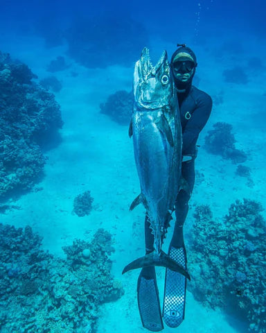 Spearfisher following safe diving practices