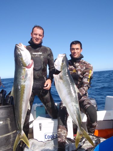 Latest Dive Report - Kane Grundy