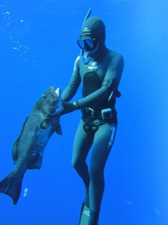 Winter Diving in Cairns.... Full HD video