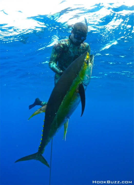 Yellowfin Tuna Spearfishing Charter - Punta Mita, Mexico