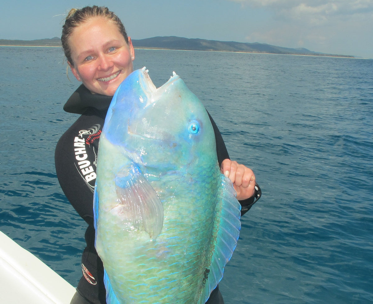 Ticking off Spearfishing Goals